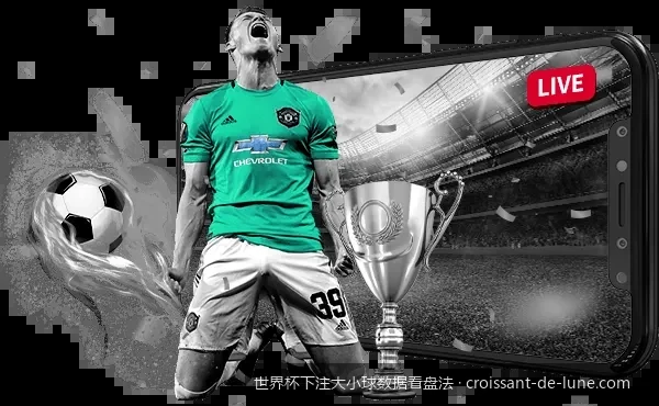 如何利用攻防数据模型预测2026世界杯小组赛大小球趋势